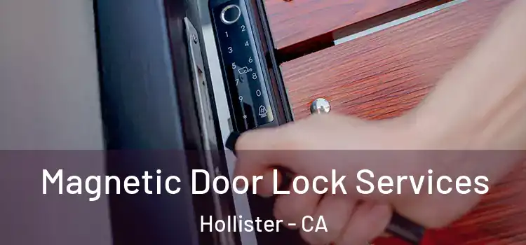 Magnetic Door Lock Services Hollister - CA